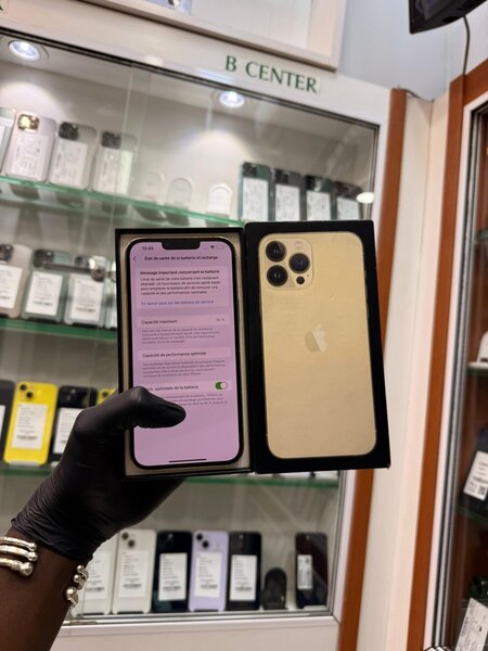 iPhone 13 Pro Max