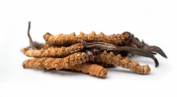 Capsules Cordyceps Longrich
