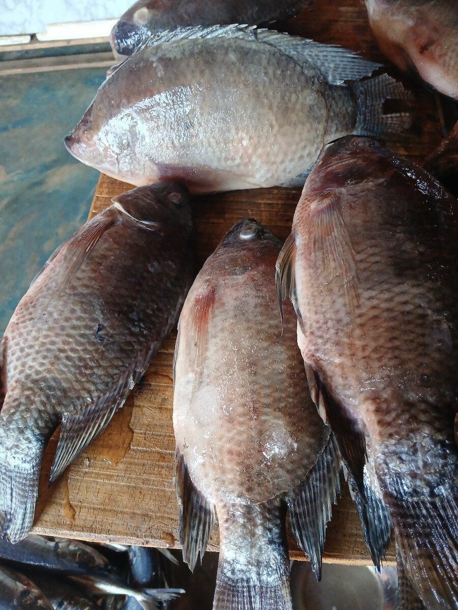 Poisson carpe