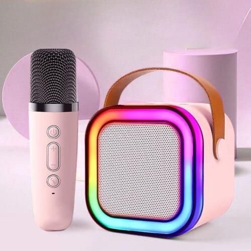 Portable speaker and mic