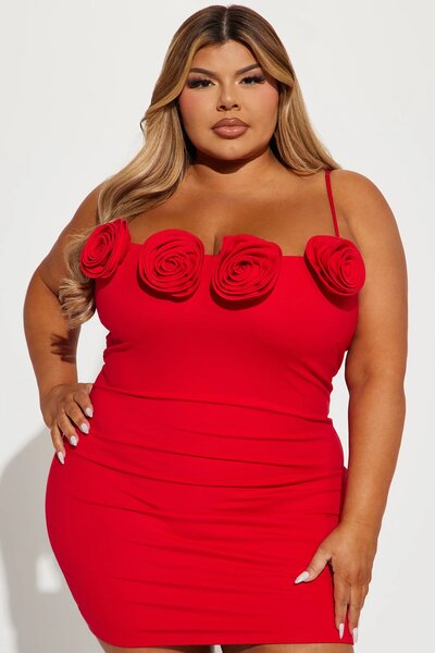 FASHIONNOVA DRESS