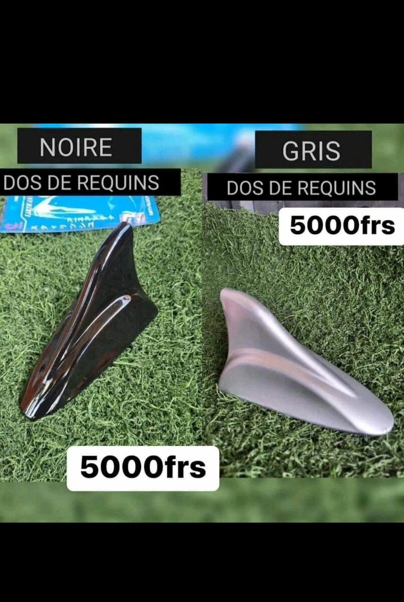 Dos de requin