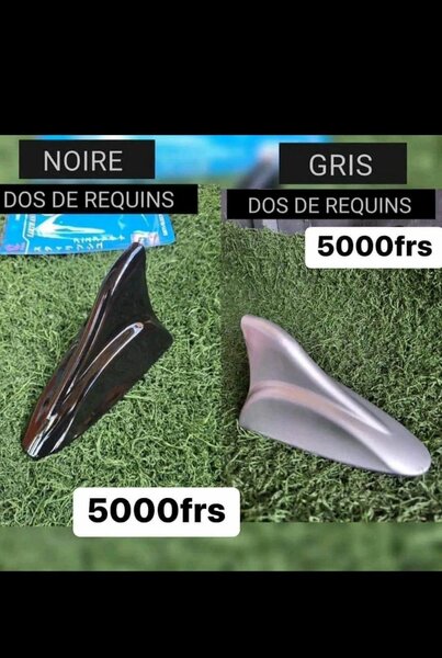 Dos de requin