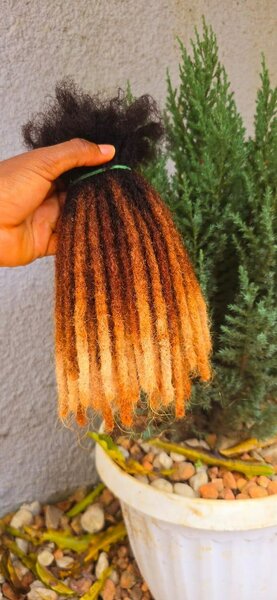 Dreadlocks normal