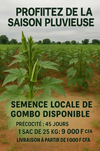 Sac de Gombo 25  bio 100 %