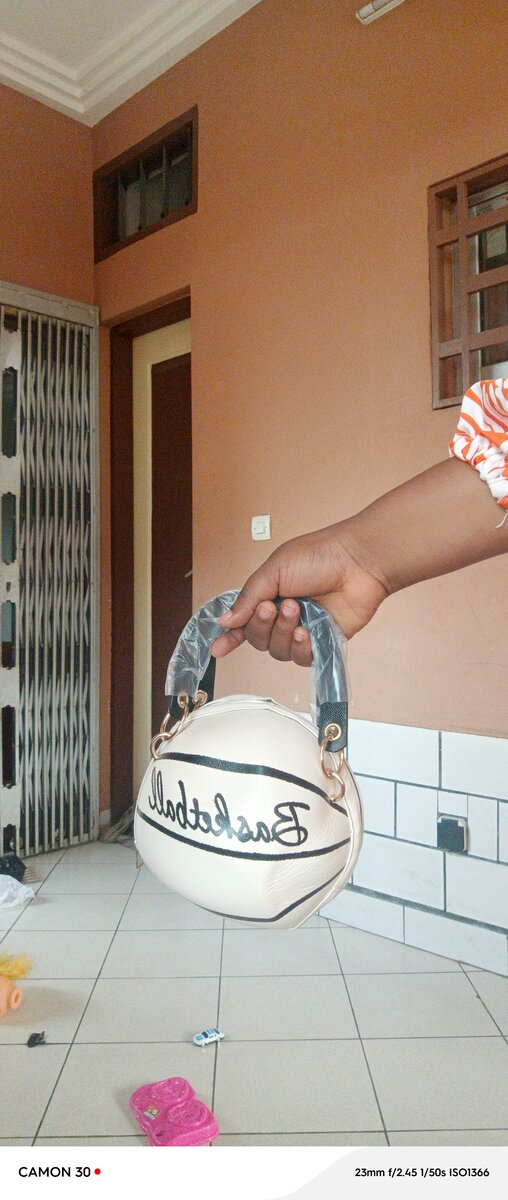 Sac ballon