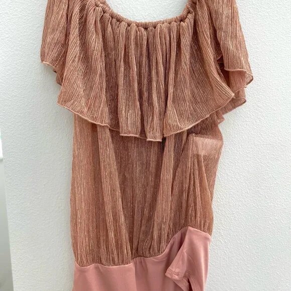 Lulus Rose Sheer Bodysuit