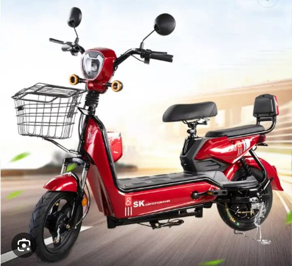 Electric Bikes