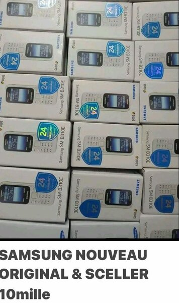 SAMSUNG B310E