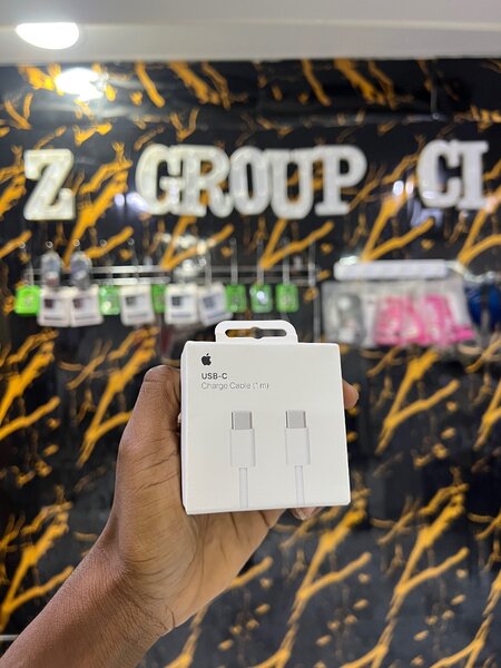 Câble USB-C tressé ( APPLE )