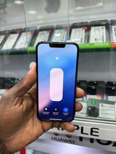 iPhone 13 Pro Max