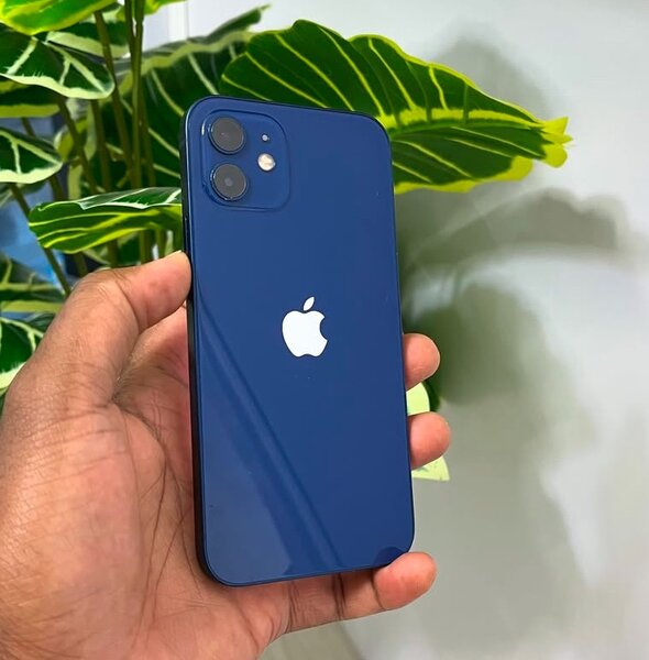 Clean iPhone 12