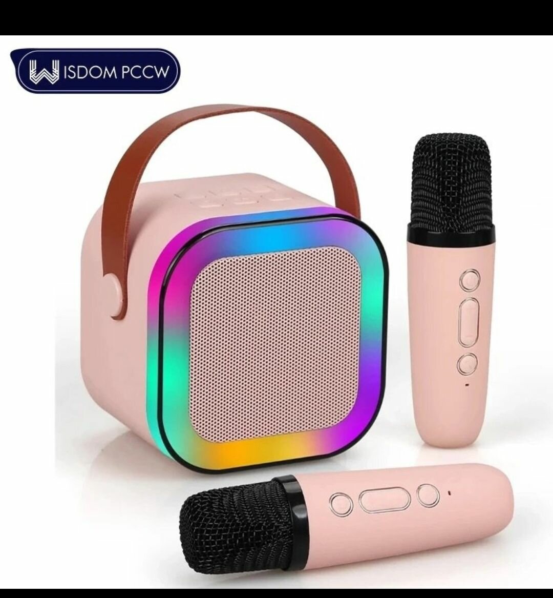 Enceinte Portable Karaoké LED
