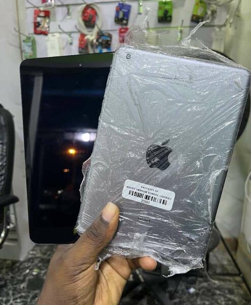 iPad Pro Apple Grey