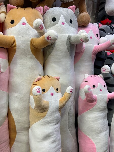Кот батон