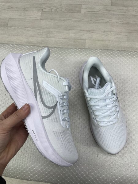 Nike pegasus39