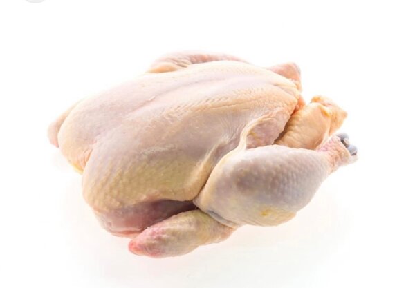 Poulet de chair entier frais