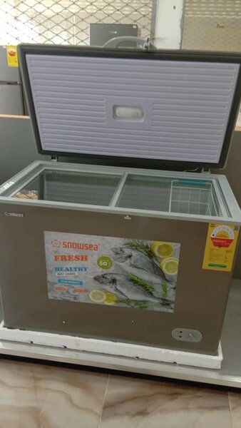 Chest Freezer