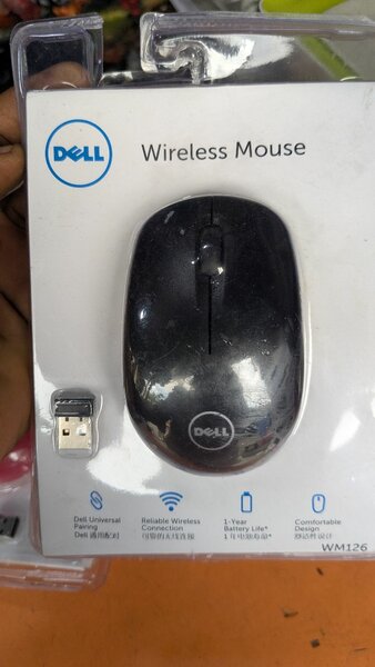 souris