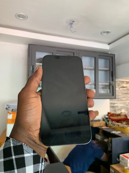 iPhone 12 Pro Max