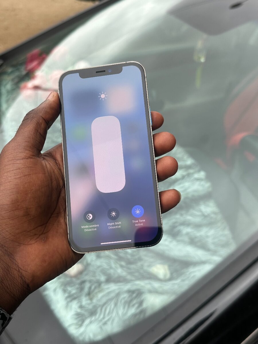 IPhone 12 Pro gris