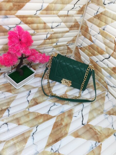 Ladies  bag
