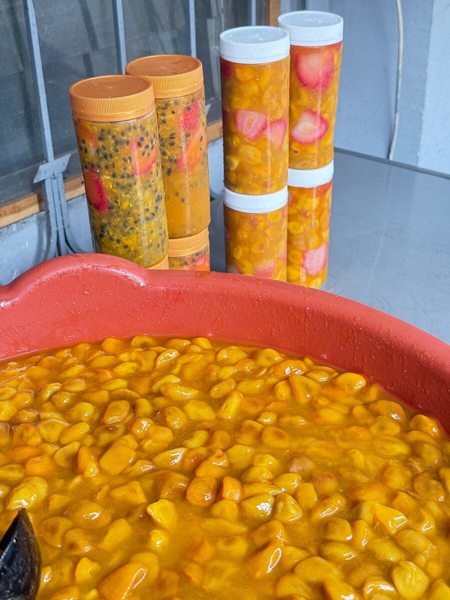 Cocota fraise