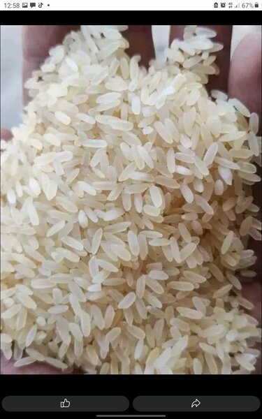 Rice  ,samosas