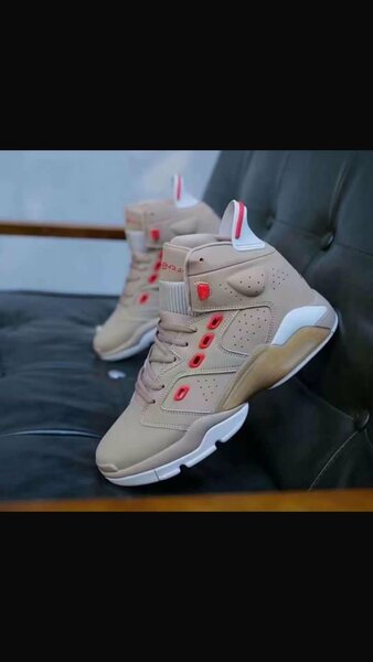 Jordan 6