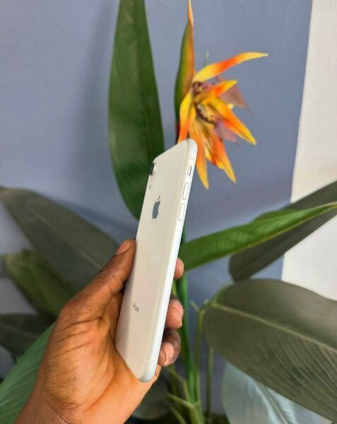 iPhone XR