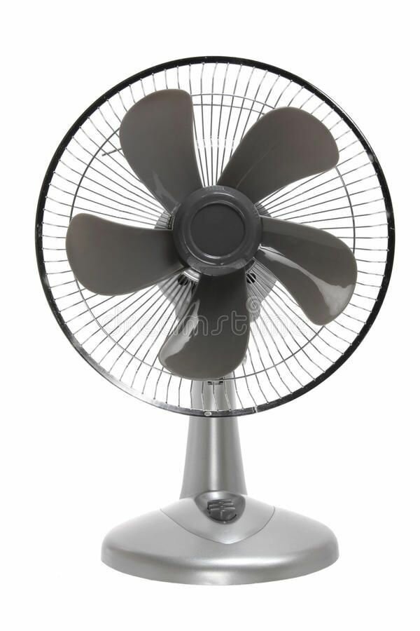 Fan's