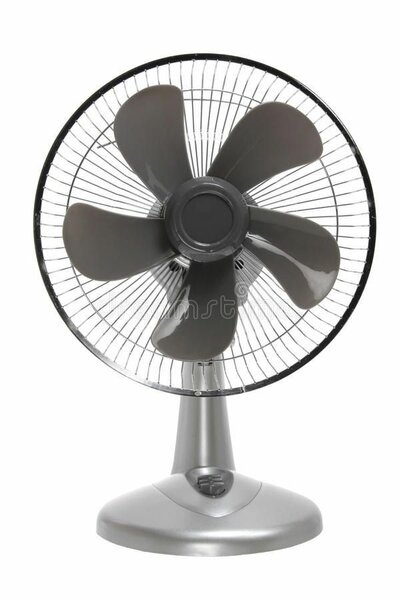 Fan's