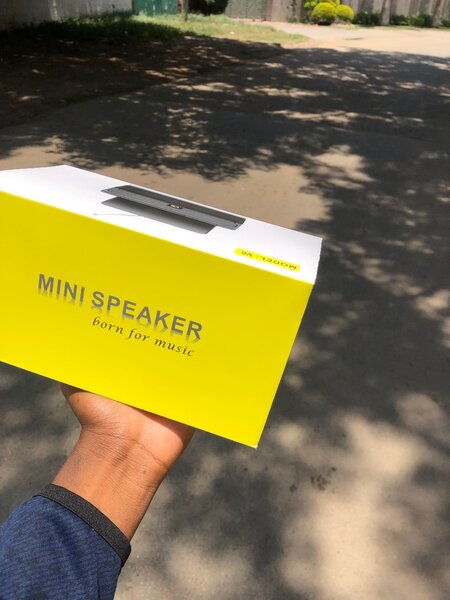 V6 speaker