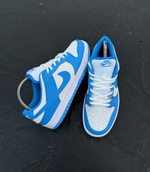 Nike dunk