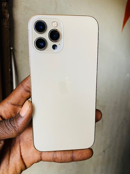 iPhone 12 Pro Max 256 giga