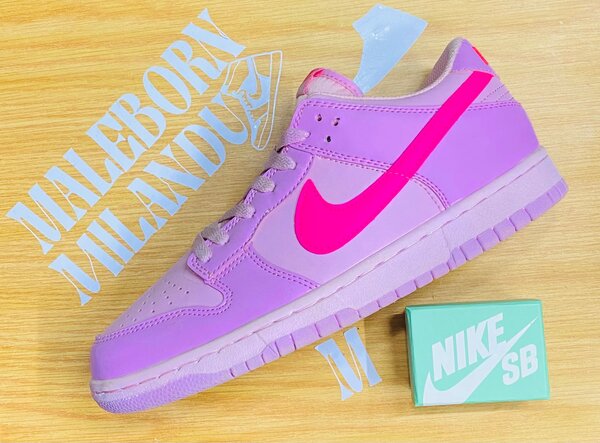 Nike sbs