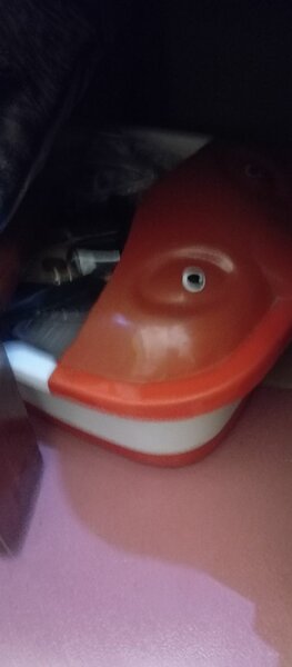 Pedicure bowl