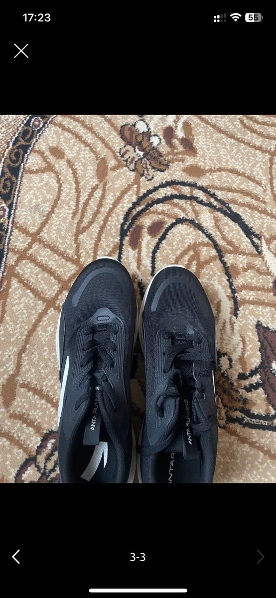 Ants Sport