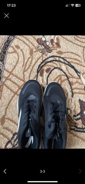 Ants Sport