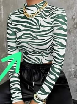 Ladies top
