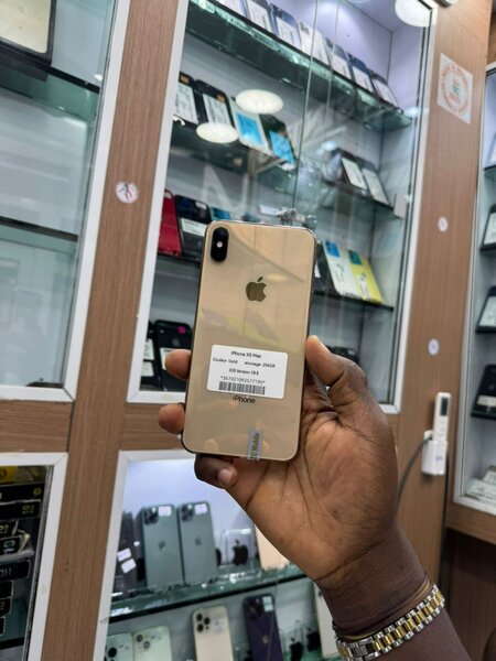 Xs Max 256giga jamais démonter