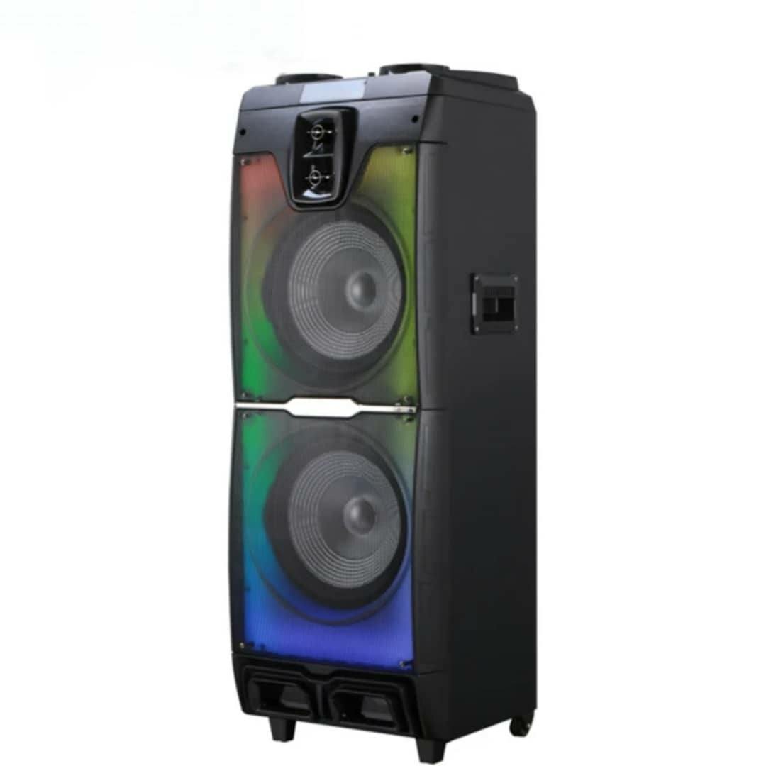 Haut-parleur Bluetooth portable sans fil pour karaoké audio