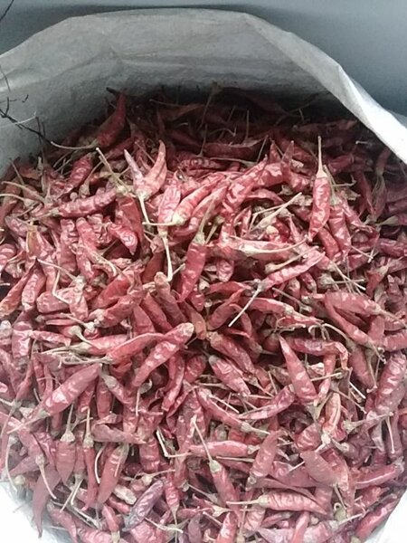 Chili
