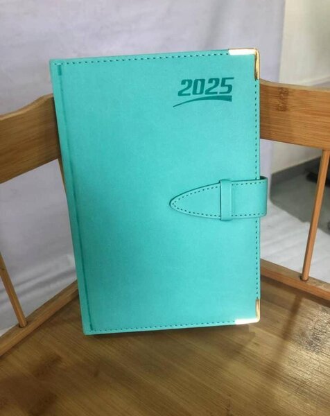 2025 Diaries