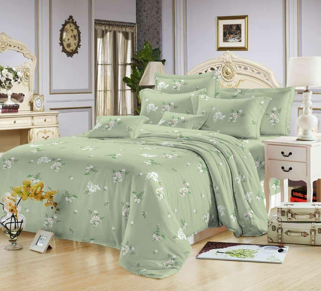 1 Couette de 2 places+ 2 draps+2 taies de 3places