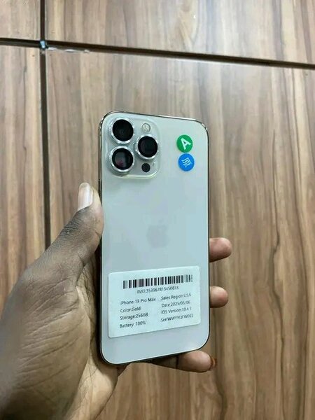 iPhone 13 Pro 256GB Argent