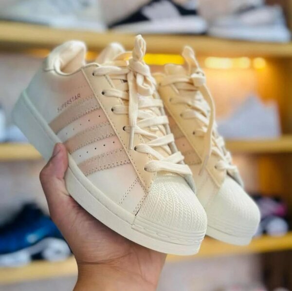 Adidas (superstar)