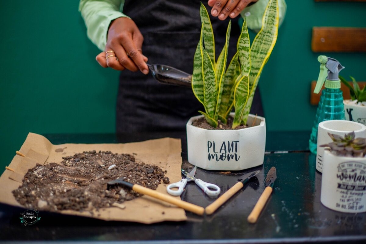 Rustic flowerpots
