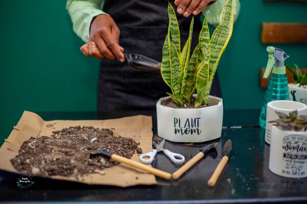 Rustic flowerpots