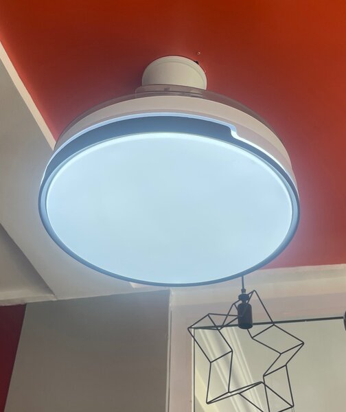 Fan with light
